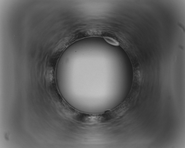 X0000103430323200809121335