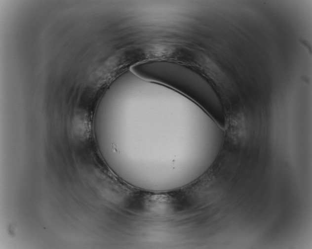 X0000103430324200809121335