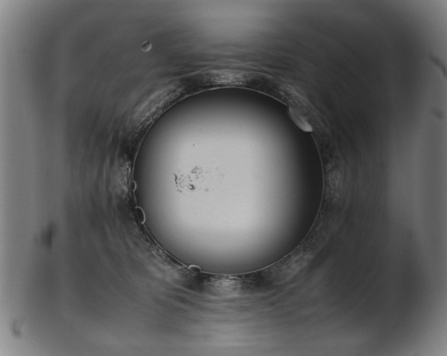 X0000103430325200809121335