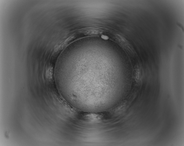 X0000103430326200809121335