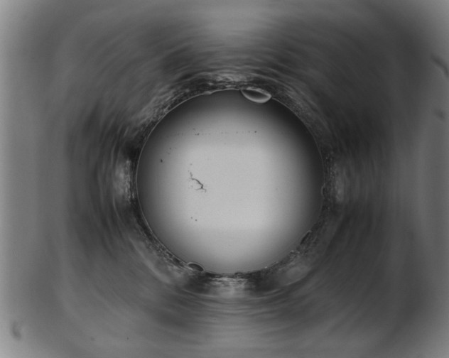 X0000103430328200809121335