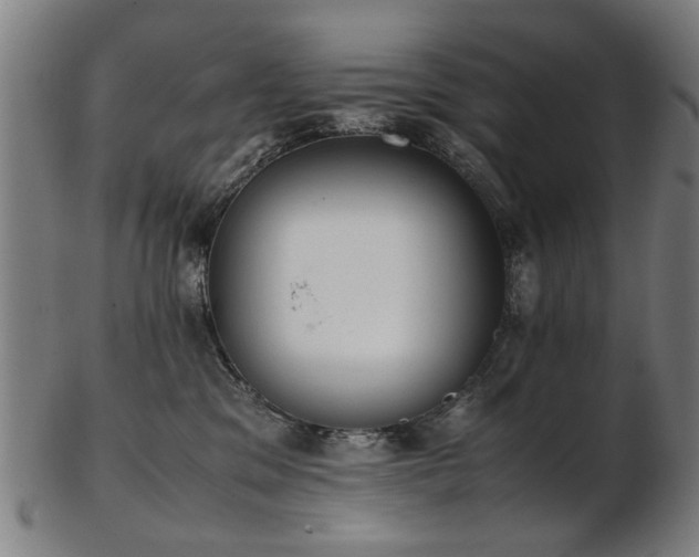 X0000103430329200809121335