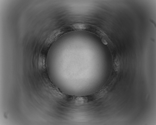 X0000103430330200809121335