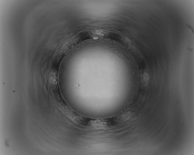 X0000103430331200809121335