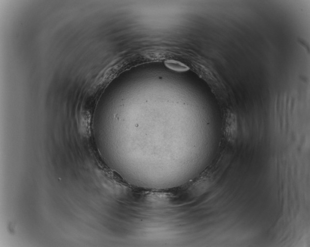 X0000103430332200809121335
