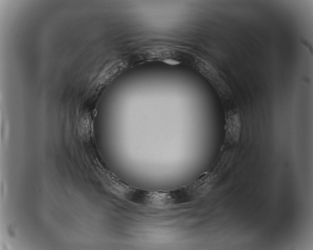 X0000103430333200809121335