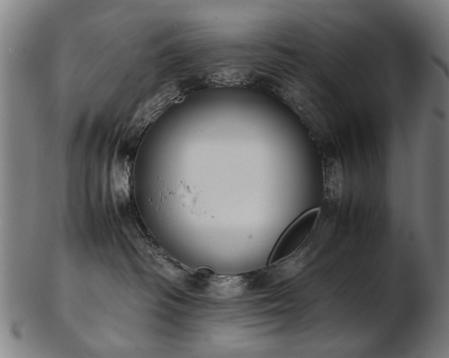 X0000103430334200809121335