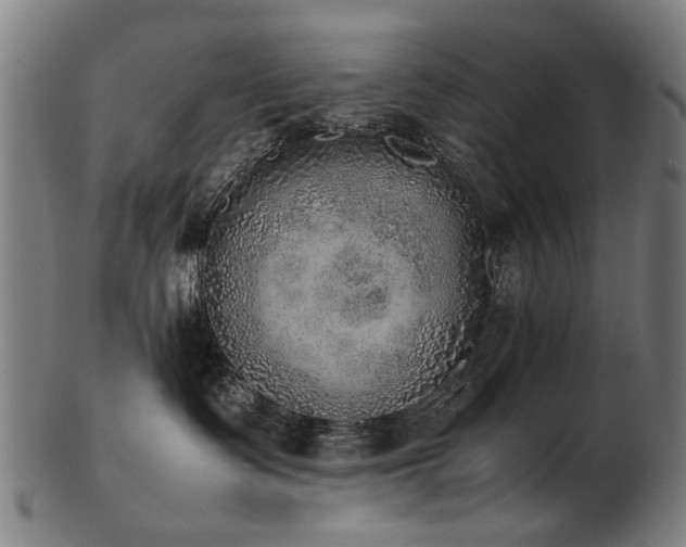X0000103430335200809121335