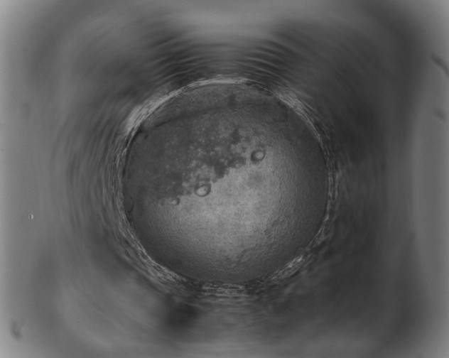 X0000103430337200809121334
