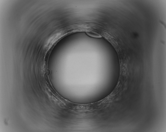 X0000103430338200809121334