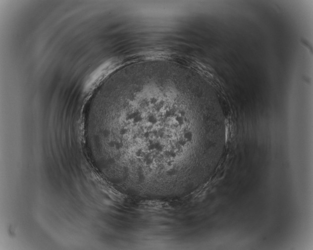 X0000103430339200809121334
