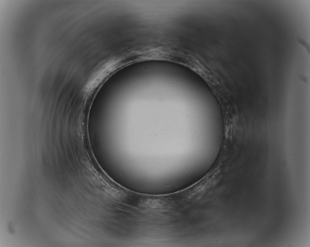 X0000103430341200809121334