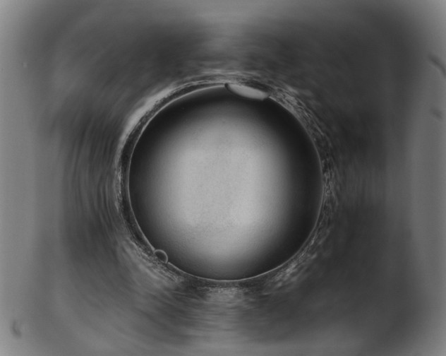 X0000103430342200809121334