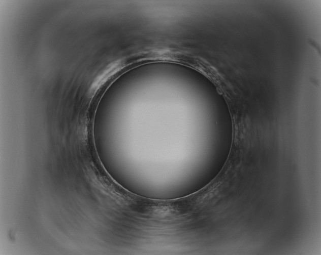 X0000103430344200809121334