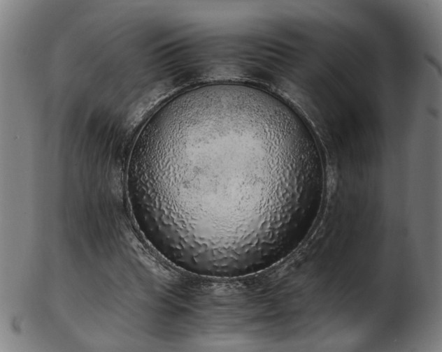 X0000103430345200809121334