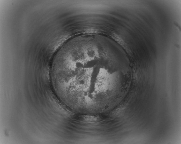 X0000103430347200809121334