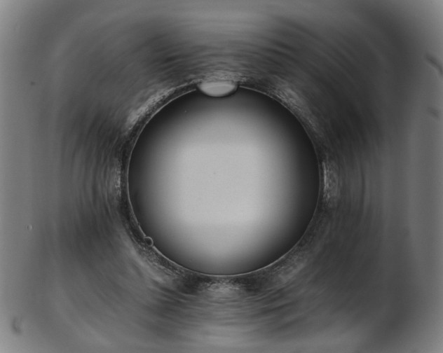 X0000103430348200809121335
