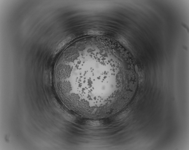 X0000103430349200809121335