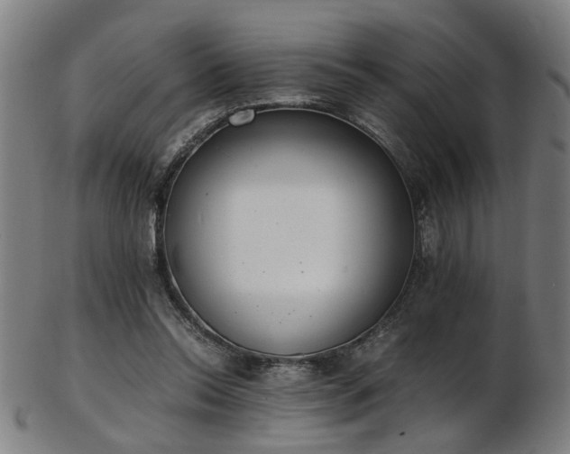 X0000103430350200809121335