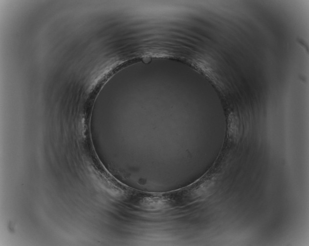 X0000103430351200809121335