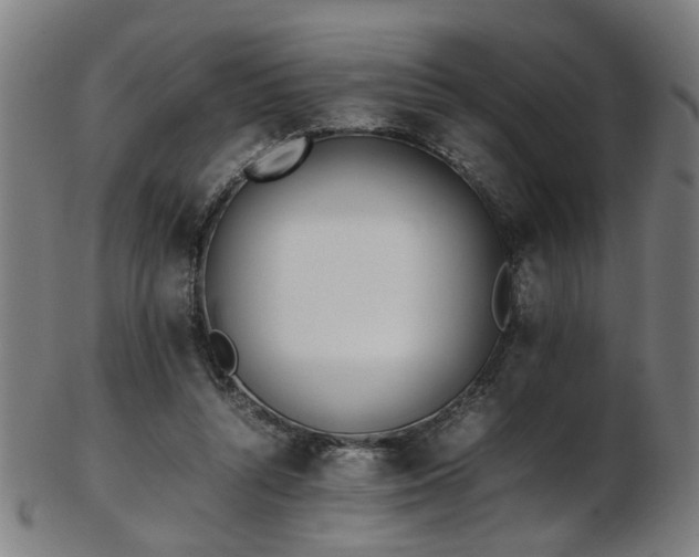X0000103430352200809121335