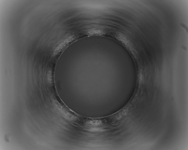 X0000103430353200809121335