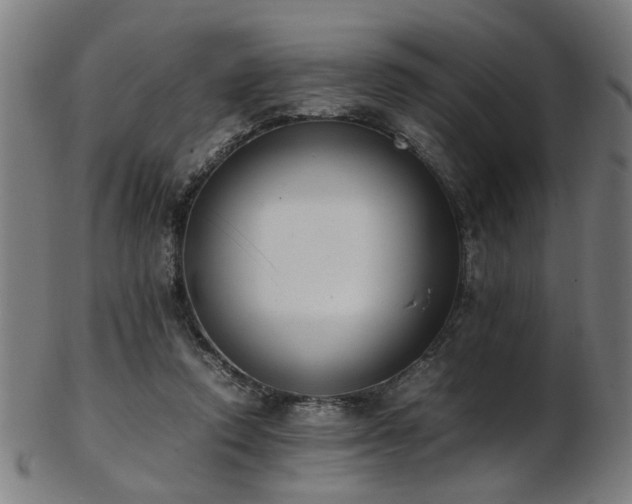 X0000103430354200809121335