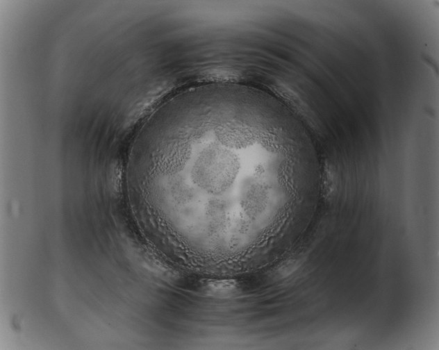 X0000103430355200809121335