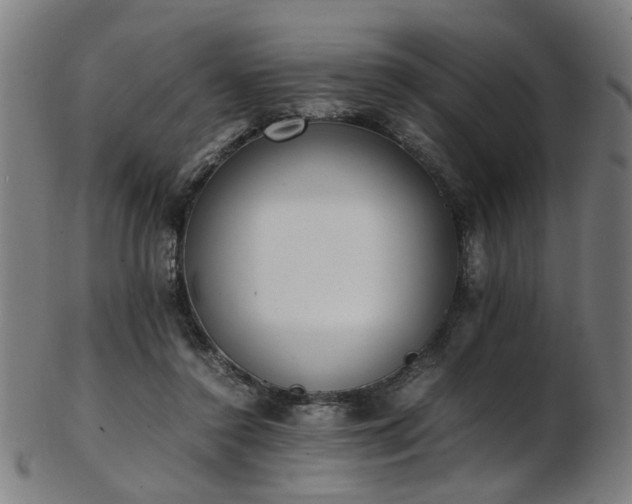 X0000103430356200809121335