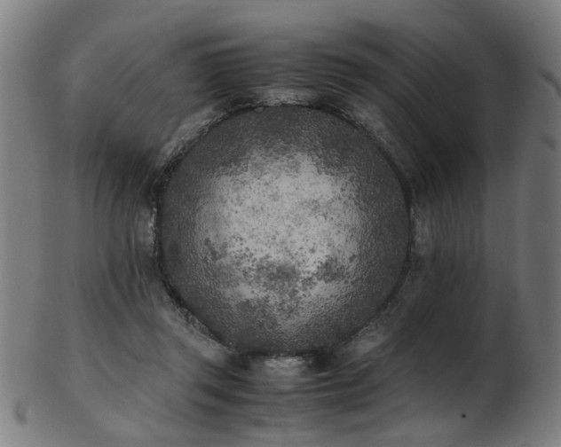 X0000103430357200809121335