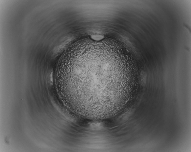 X0000103430358200809121335