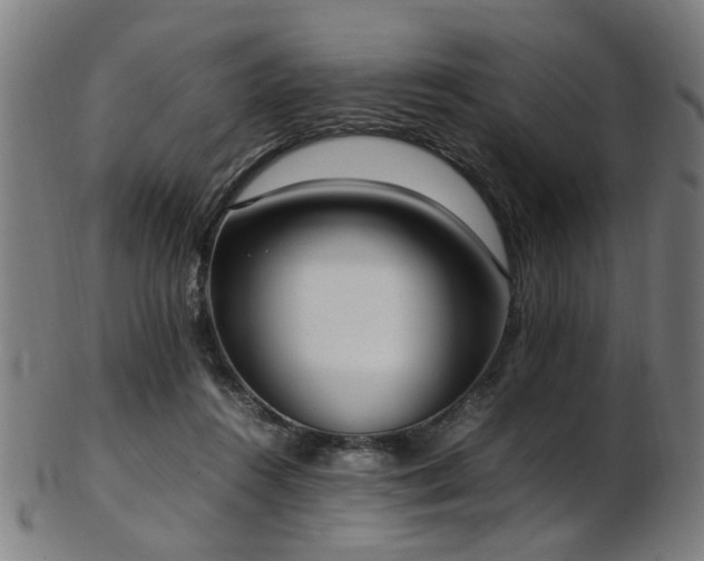 X0000103430360200809121335