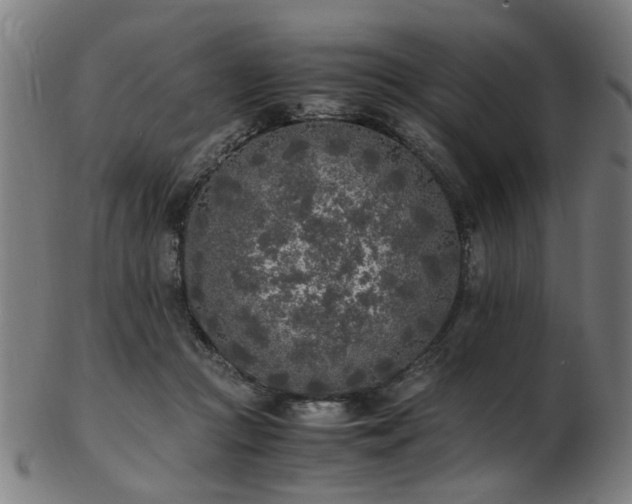 X0000103430361200809121335