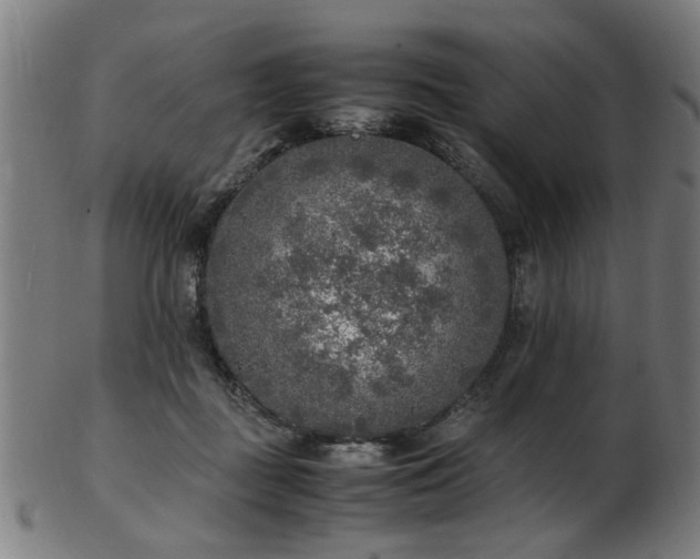 X0000103430363200809121335