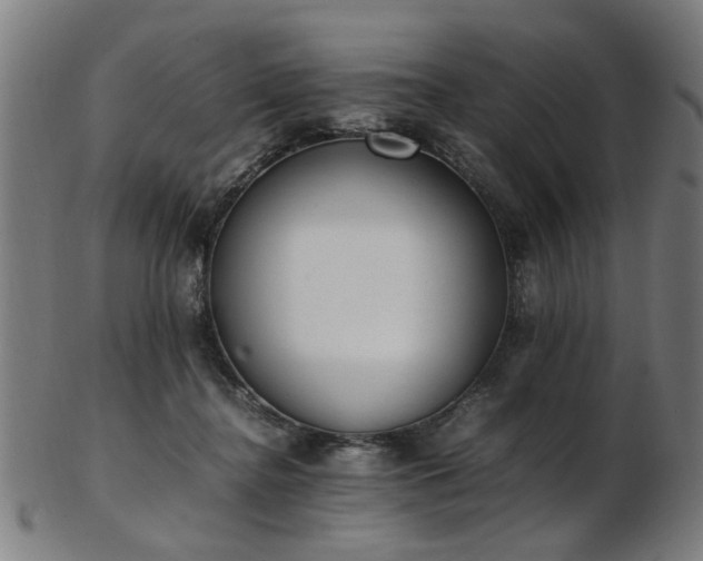 X0000103430364200809121335