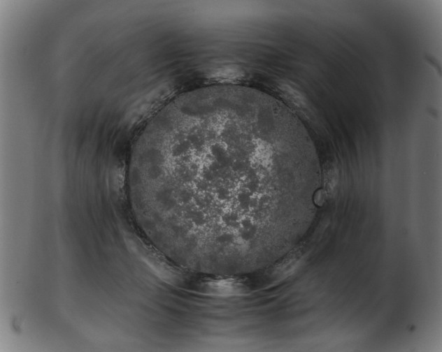 X0000103430365200809121335