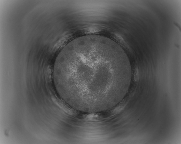X0000103430366200809121335