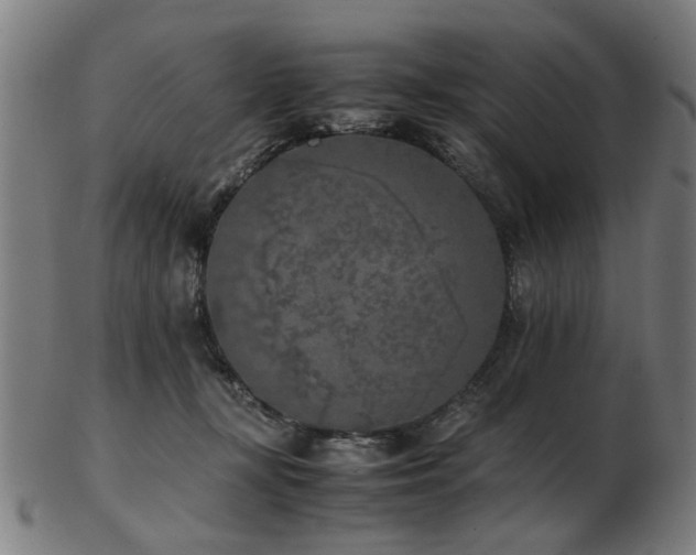 X0000103430367200809121335