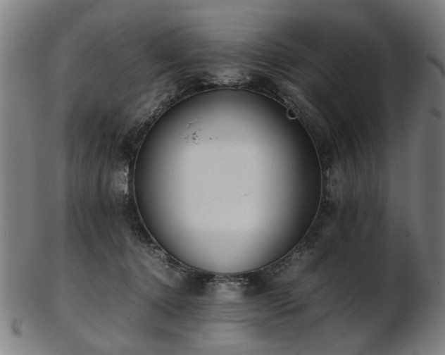 X0000103430368200809121335
