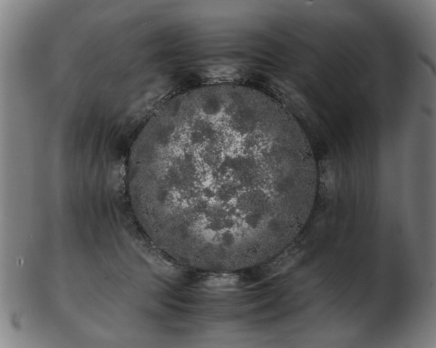 X0000103430369200809121335