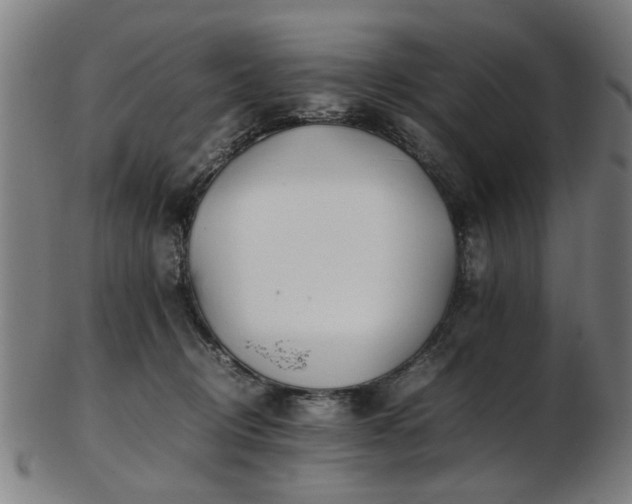 X0000103430370200809121335