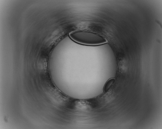 X0000103430372200809121335