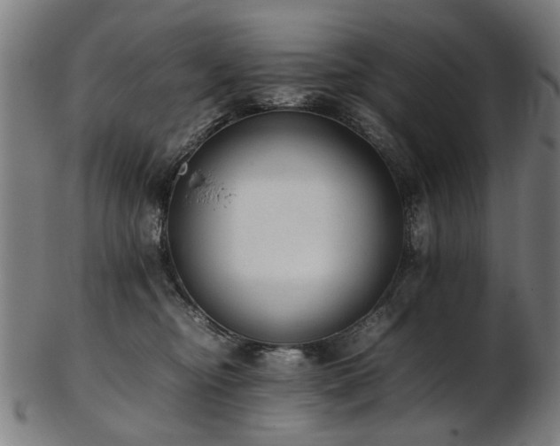 X0000103430374200809121335