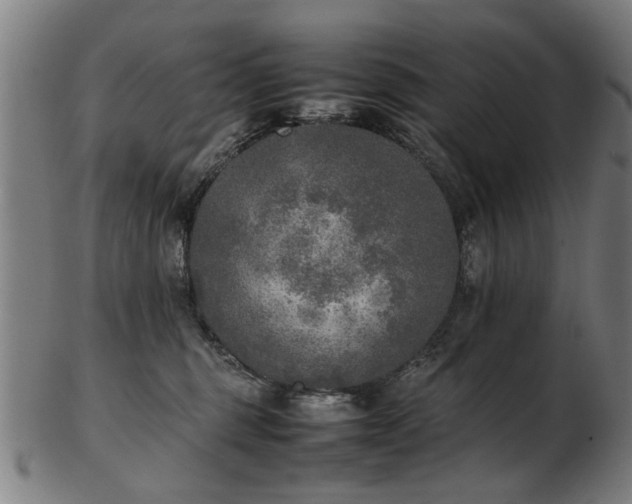 X0000103430375200809121335