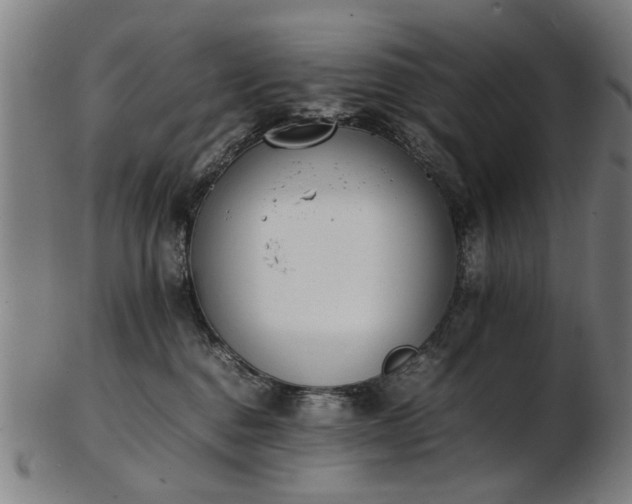 X0000103430376200809121335