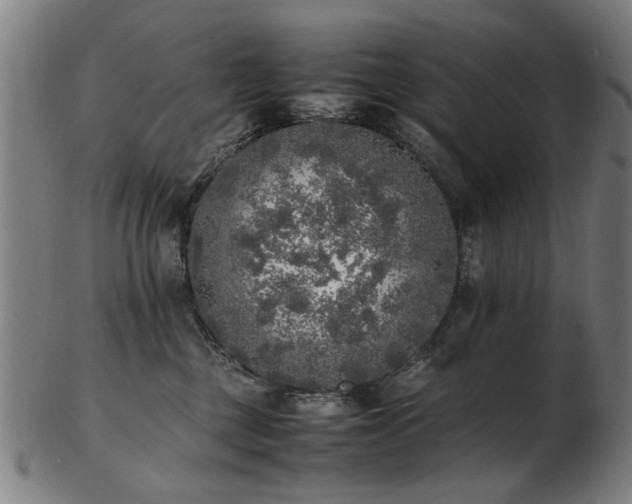 X0000103430377200809121335