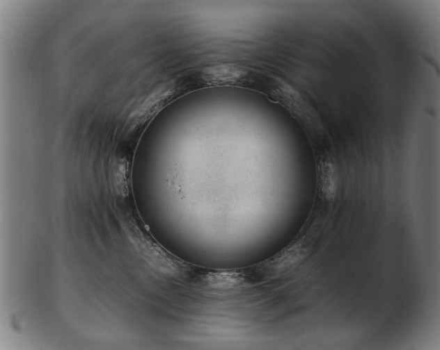 X0000103430378200809121335