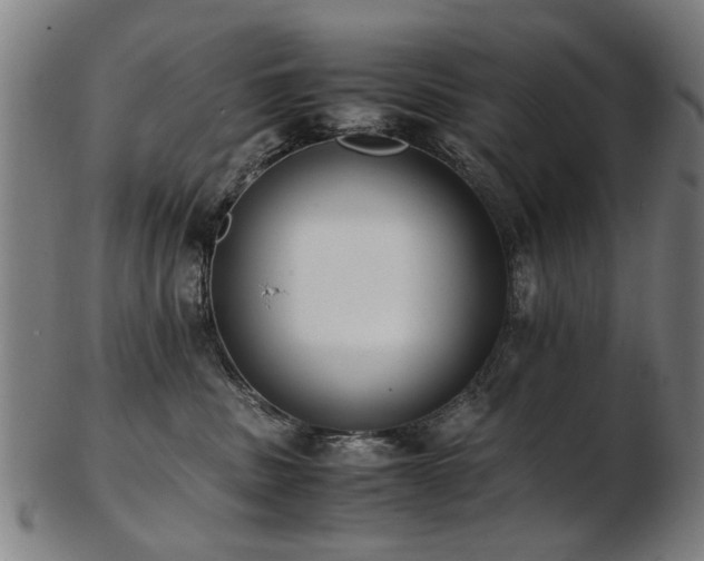 X0000103430379200809121335