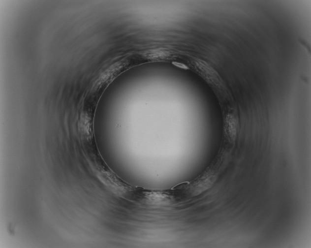 X0000103430380200809121335