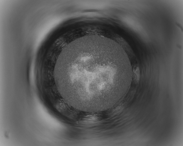 X0000103430381200809121335